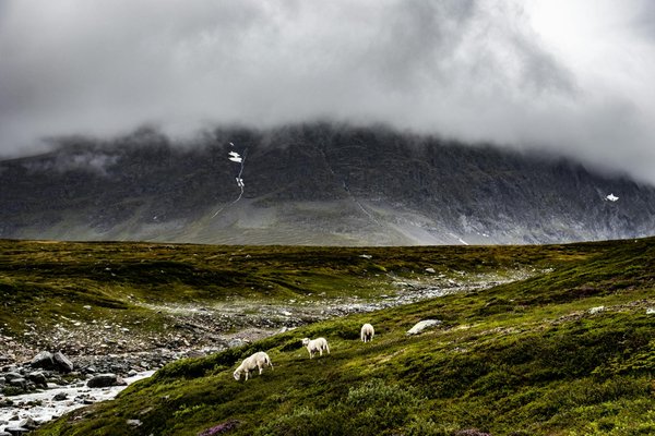 Comment participer à un festival de lanternes en Thaïlande?