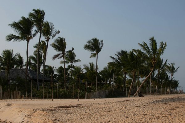 Quels sont les avantages de louer une villa en Croatie avec des ateliers de peinture sur galets et des balades en bord de mer?