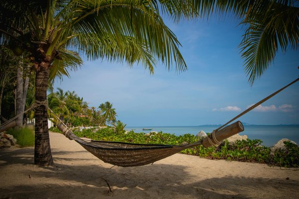 Quels sont les meilleurs spots pour le surf sur la côte basque, France ?