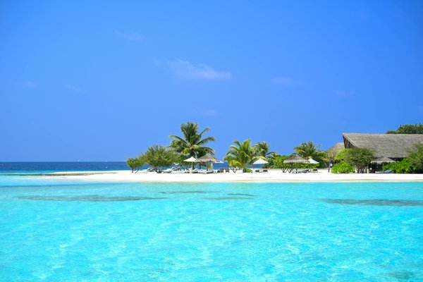 Comment choisir une croisière qui propose des excursions pour découvrir les fjords en Norvège?